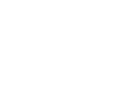 Snow Shoe